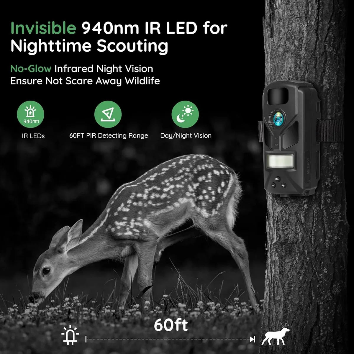 Mini Camara Trampa De Caza Para Monitoreo De Vida Silvestre Negro
