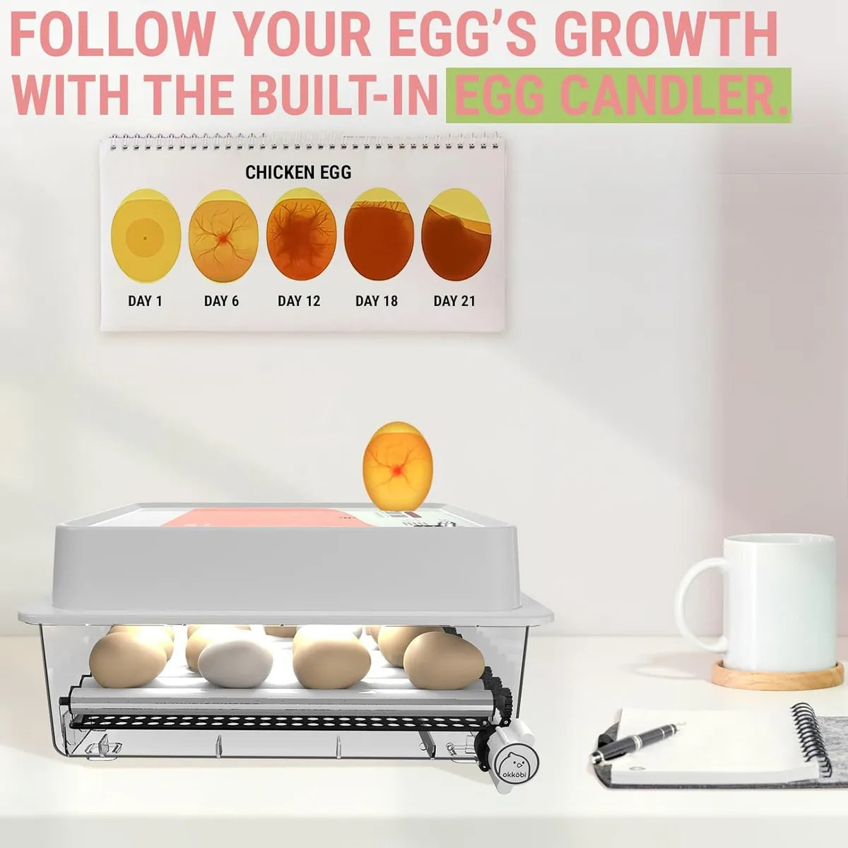 Incubadora De 36 Huevos De Giro Automatico